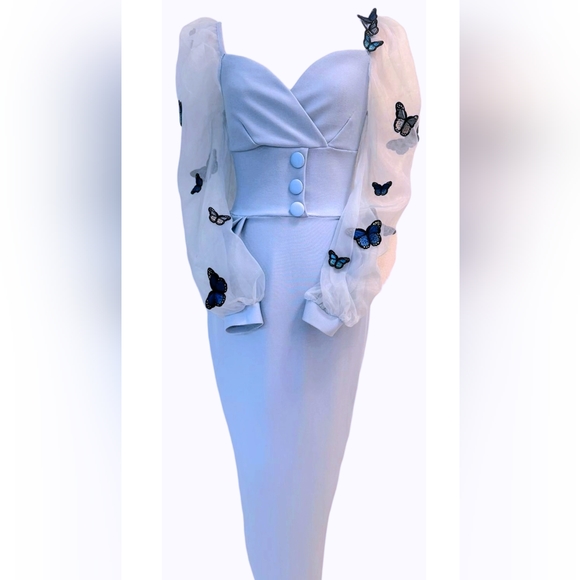 Sky Blue Butterfly Sleeves